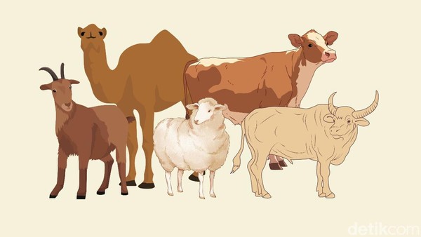 Nabung Emas Buat Kurban